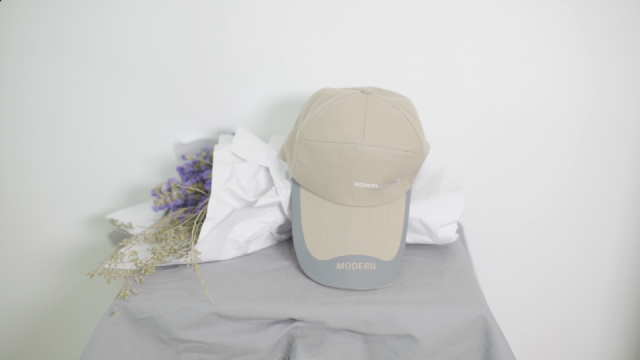 国家新一轮第二批支持的重点“小巨人”企业名单公布 梅州1家企业获认定实现“零突破”