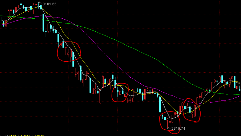 特区精神新论：潮头踏出通天路